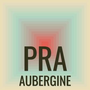 Pra Aubergine