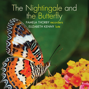 The nightingale and the butterfly