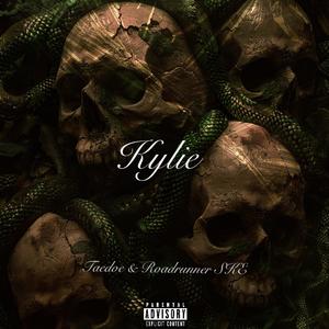 Kylie (feat. Taedoe) (Explicit)
