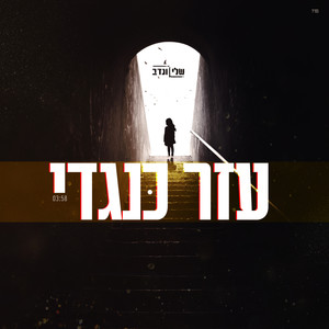 עזר כנגדי