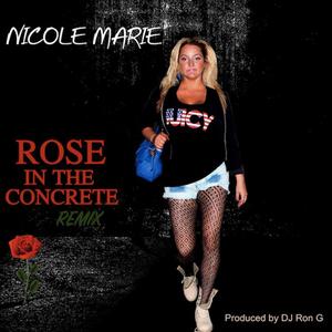 Rose in the Concrete