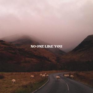 No One Like You