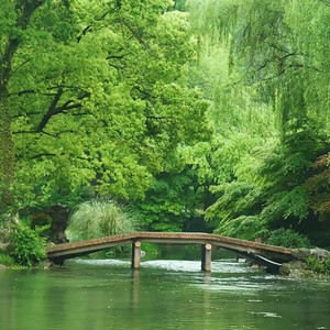 春涧流泉-洪雪宁&中国民乐