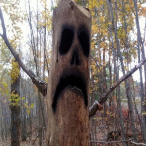 on my nutz (Explicit)