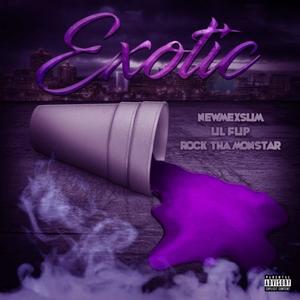 Exotic (feat. Lil Flip & Rock The Monstar) (Explicit)
