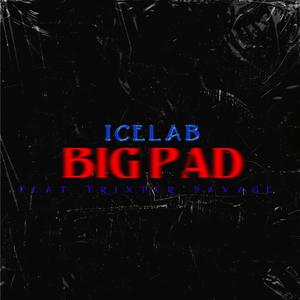 Big Pad (feat. Trixta Savage) [Explicit]