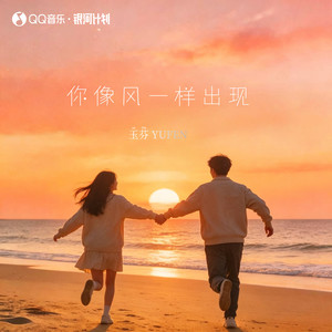 你像风一样出现封面