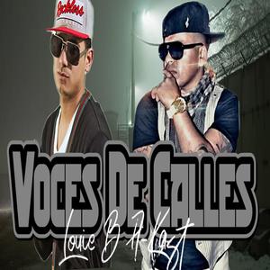 Voces De Calles (feat. Louie B)