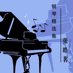 白月光与朱砂痣【钢琴版】