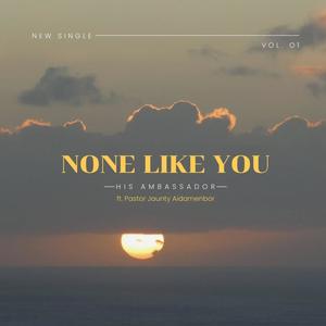 None Like You (feat. Pastor Jaunty Aidamenbor)