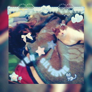 Ven Silvestre (Explicit)