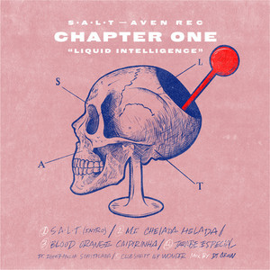 S.A.L.T (Chapter 1 - Liquid Intelligence) [Explicit]