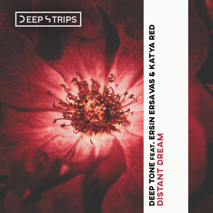 Distant Dream (Original Mix)