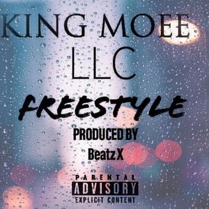 LLC (Freestyle) (feat. Money Mann) [Explicit]