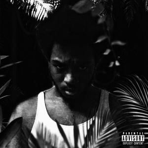 Jungle (Explicit)