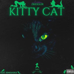 Kitty Cat (feat. Senoj Soul) [Explicit]