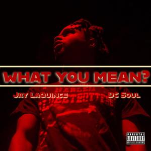 WHAT YOU MEAN? (feat. DC $OUL) [Explicit]