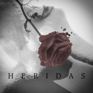 Heridas