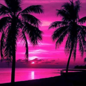 LEARNaLESSONstopSTRESSIN (freestyle)