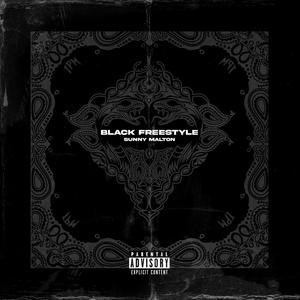 Black Freestyle (Explicit)