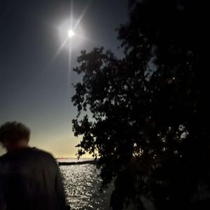 scars on my heart (feat. tmurda) (Explicit)