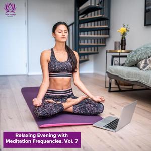 Relaxing Evening with Meditation Frequencies, Vol. 7