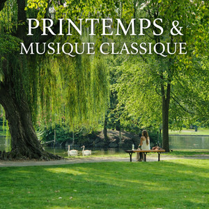 24 Préludes, Op. 28 - Chopin: 24 Préludes, Op. 28: No. 4 in E Minor (Arr. Franchomme for Cello) [Adapted for 4 Cellos by Matthias Spindler]