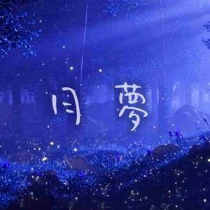 月夢 feat. 星界