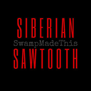 SIBERIAN SAWTOOTH