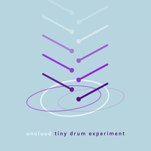 Tiny Drum Experiment