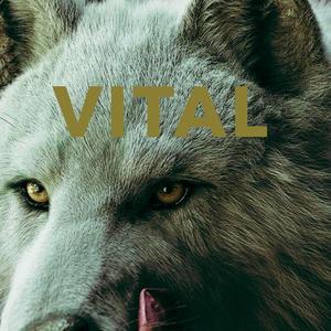 Vital (Explicit)