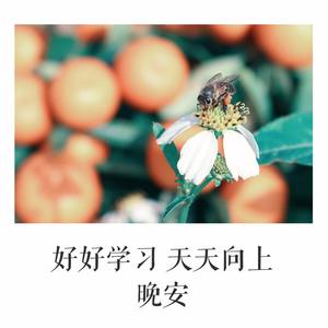 ［Free］College time