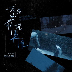 天亮以前说再见