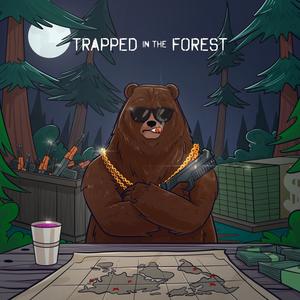 Trapped In The Forest