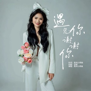 遇见你 谢谢你 (伴奏)