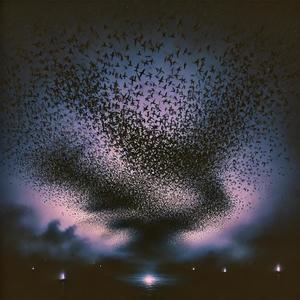 Murmuration