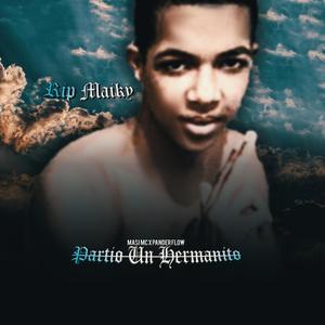 Partio Un Hermanito (feat. Pander Flow) (Explicit)