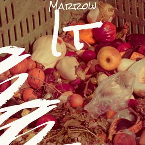 Marrow It