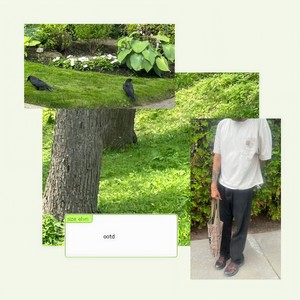 ootd