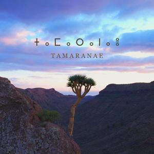 Tamaranae (Explicit)