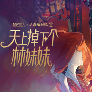 天上掉下个林妹妹