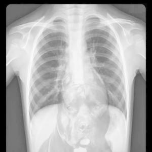 Shiesty and 9 (haste) (Explicit)