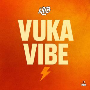 Vuka Vibe