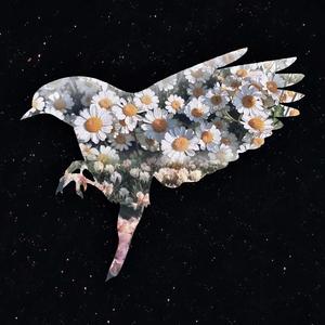 雨后晴天-瘪&津静公路No.26