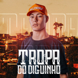 Mega Funk Tropa do Diguinho (Explicit)