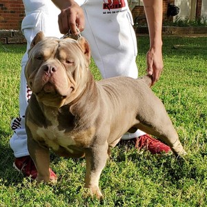 Rip Goldie Da Mack(feat. Zk Trey, Yn Koolie, Trench Baby T & Lit Queen) (Explicit)