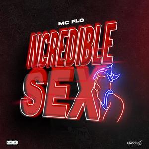 NcredibleSex (Radio Edit)