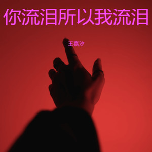 你流泪所以我流泪 (国语版)