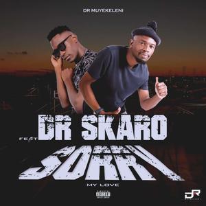 Sorry my love (feat. Dr skaro)