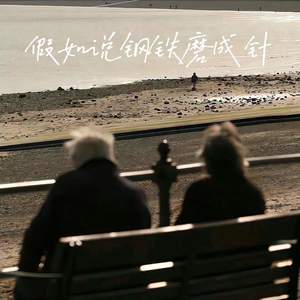假如说钢铁磨成针